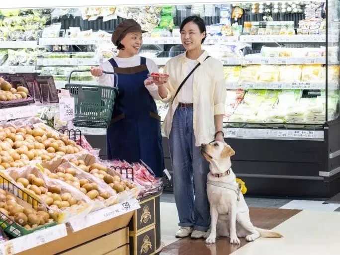 /assets/images/daily-dog-1.webp