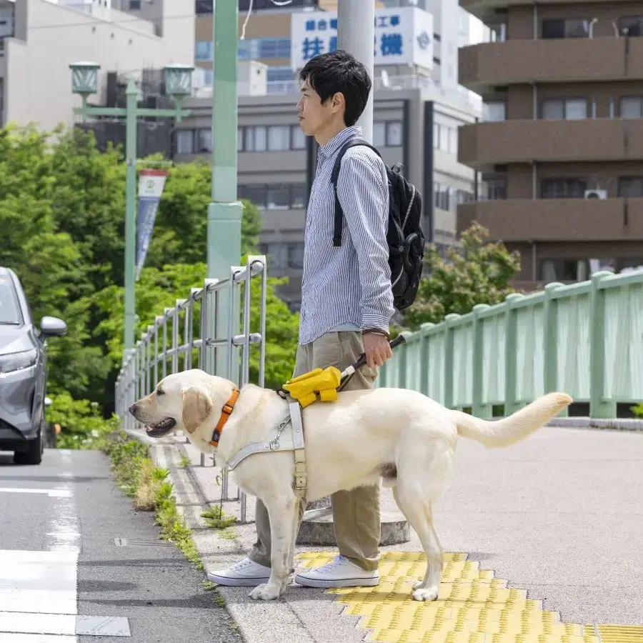 街中でユーザーを誘導する盲導犬を見守る様子