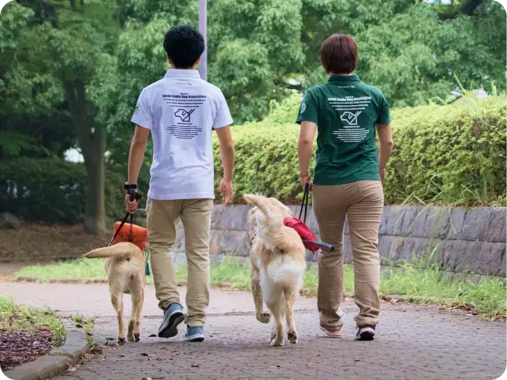 どんな犬が盲導犬に向いている？