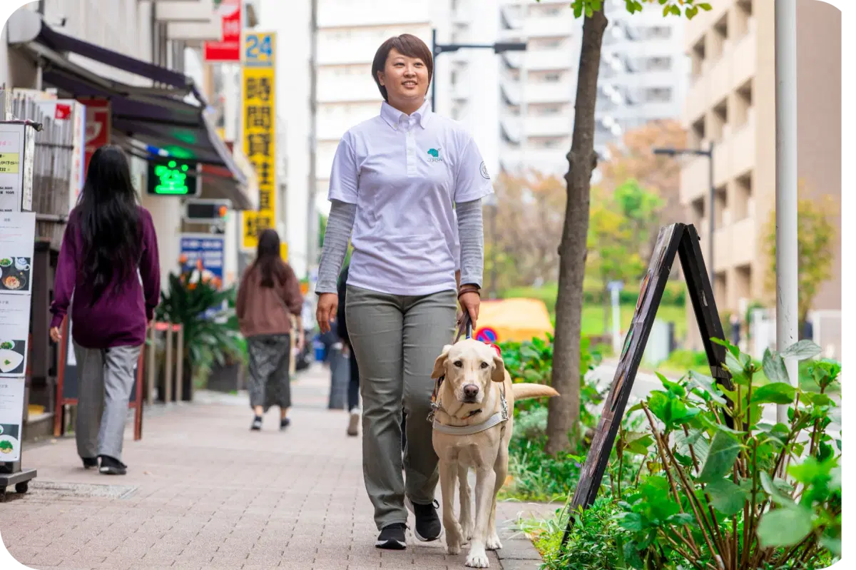どんな犬が盲導犬に向いている？
