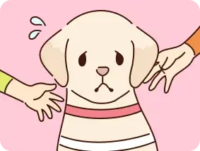 犬やハーネスにさわらない