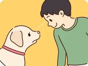 犬の目を近くでじーっと見つめない