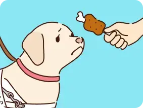 食べ物や飲み物を与えない