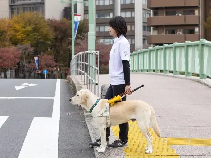 トレーナーの画像