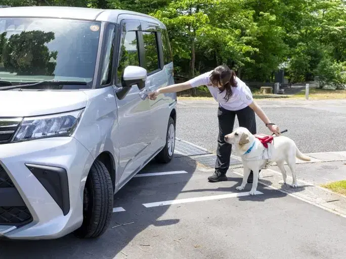 トレーナーの画像