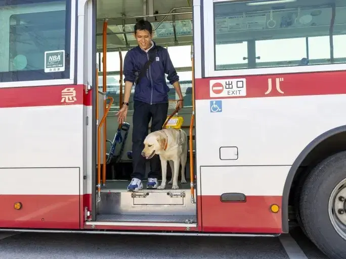 トレーナーの画像