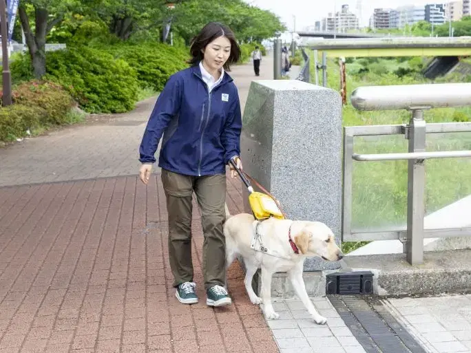 トレーナーの画像