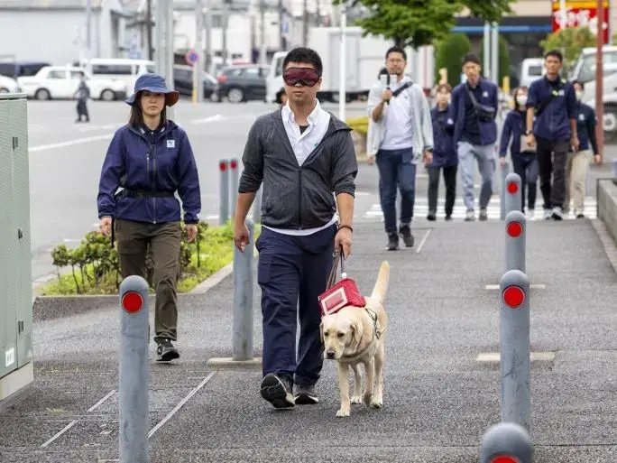 どんな犬が盲導犬に向いている？