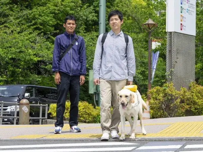 どんな犬が盲導犬に向いている？