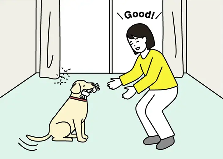 パピーウォーカーとは