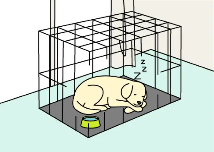 イラスト