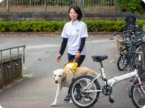 盲導犬