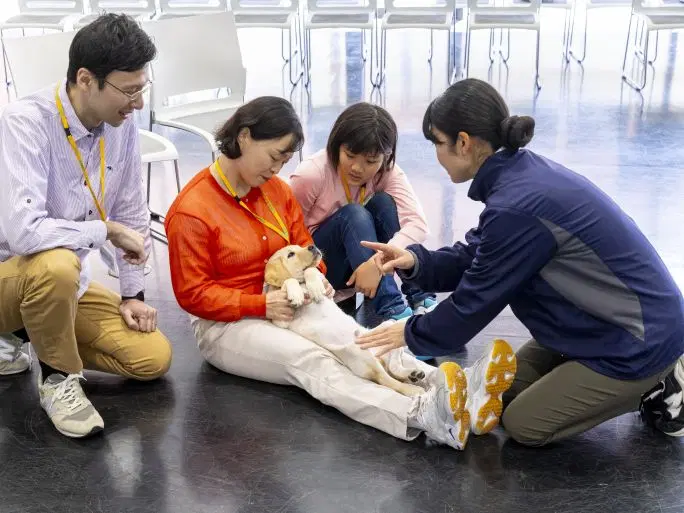 訓練犬の健康管理