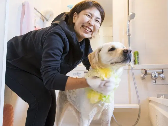 引退犬の健康管理の様子