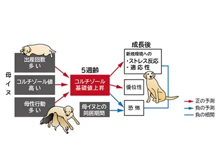 盲導犬のデータ・資料・研究