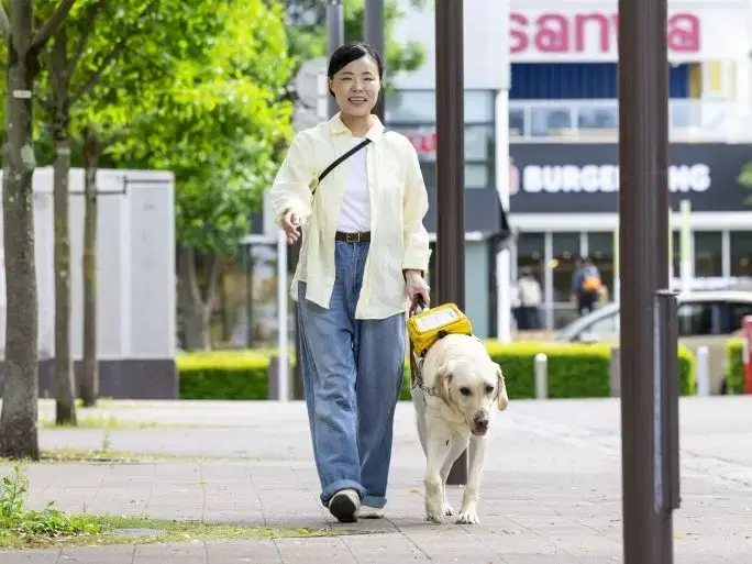 引退犬