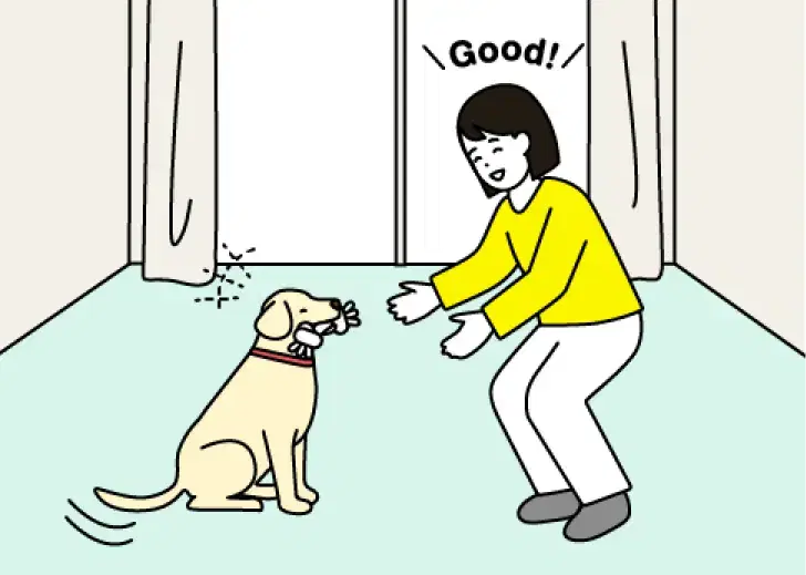 人間と生活する喜びを経験する