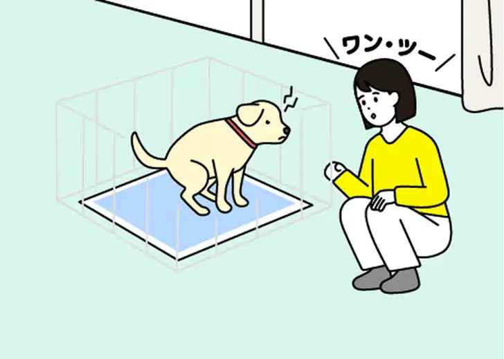 社会や家庭の中で暮らすためのルールを学ぶ