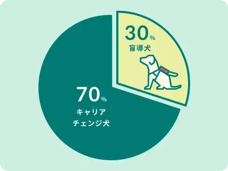 盲導犬の訓練