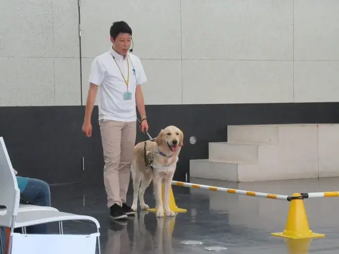 盲導犬