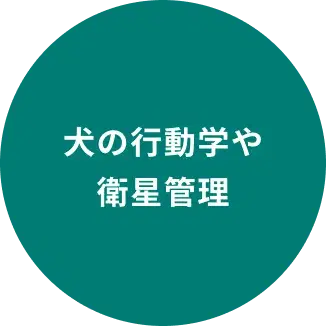 盲導犬訓練理論