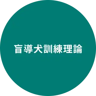 視覚障害についての知識