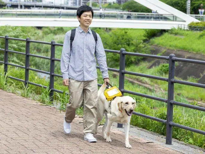 盲導犬を利用するの画像
