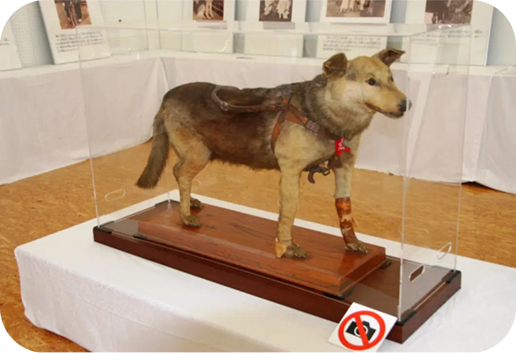 ドイツ・オルデンブルクの盲導犬訓練学校の外観
