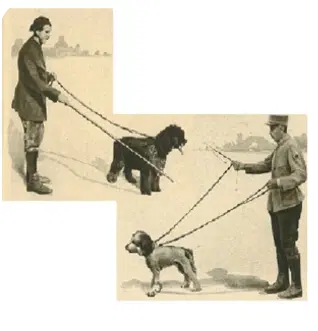 イギリスの盲導犬協会のロゴ