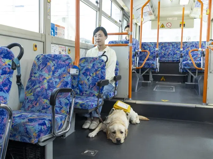 盲導犬の行動管理の例