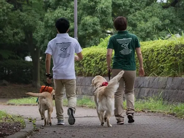 盲導犬の暑さ対策