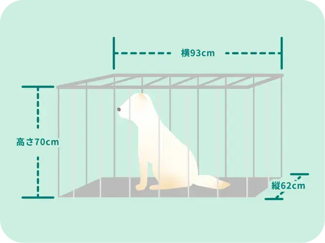 公益財団法人日本盲導犬協会