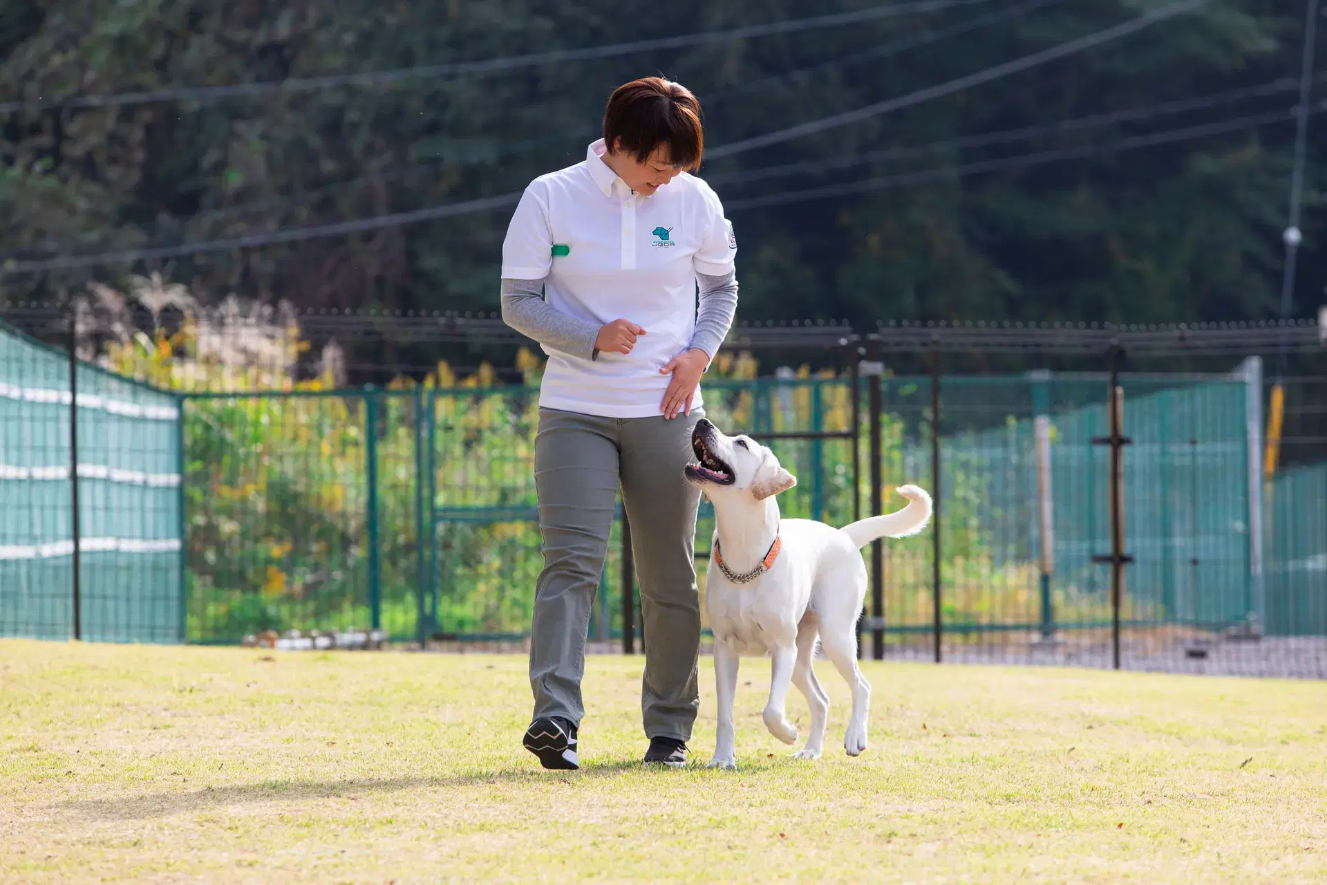 盲導犬訓練士