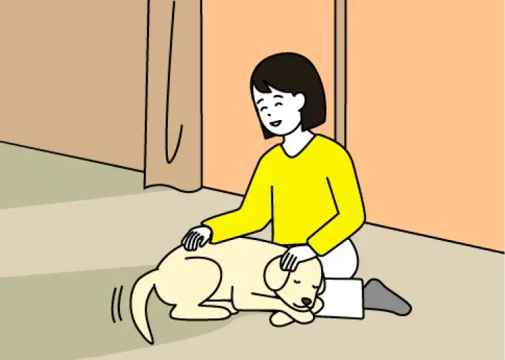 室内飼育のイメージ