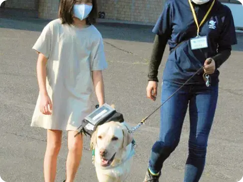 盲導犬歩行体験の様子