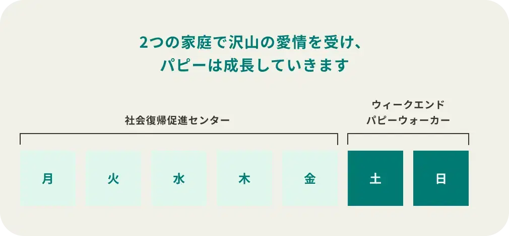 パピーウォーカーの役割