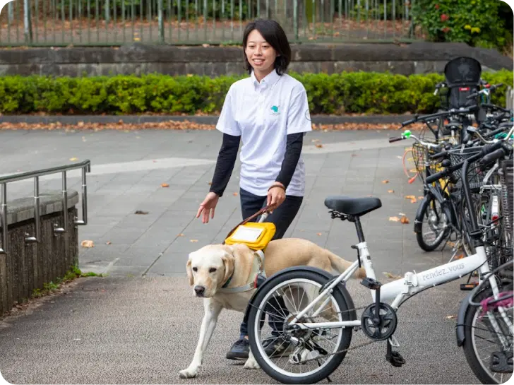 盲導犬訓練士