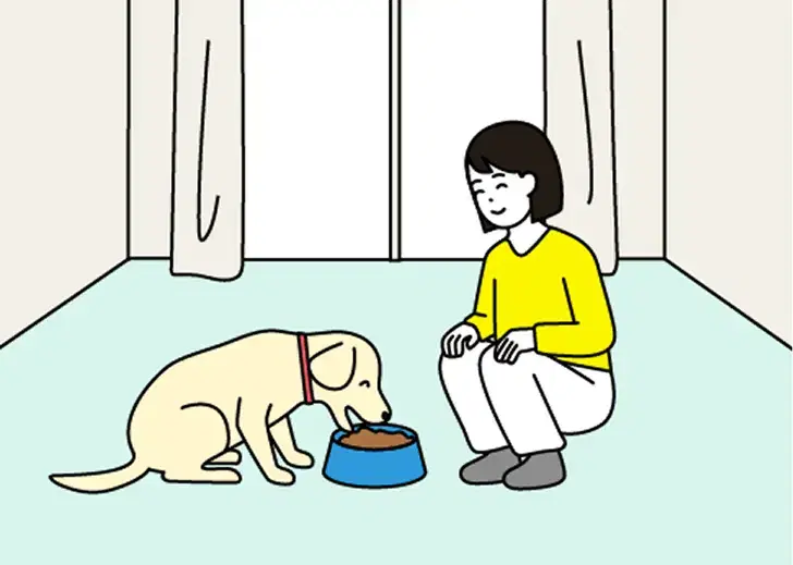 起床・パートナーの排泄・餌やりのイラスト