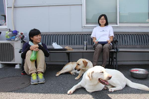 女性訓練士2名がランチする脇にイエローの訓練犬が2頭ダウン