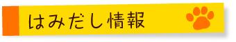 はみだし情報