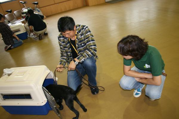 クレートに入ろうとする黒いパピーを見守るお父さんと職員