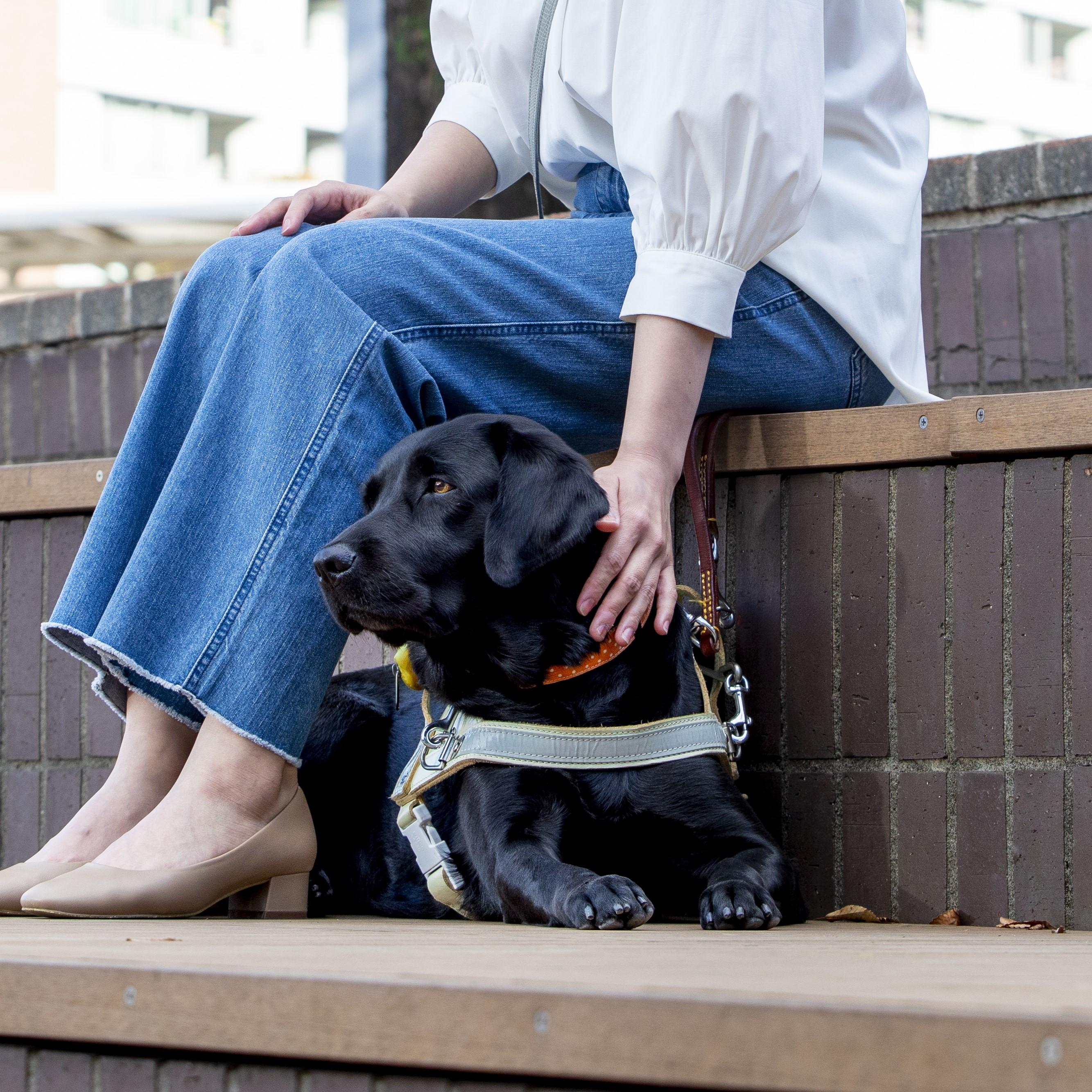 盲導犬ユーザーの写真