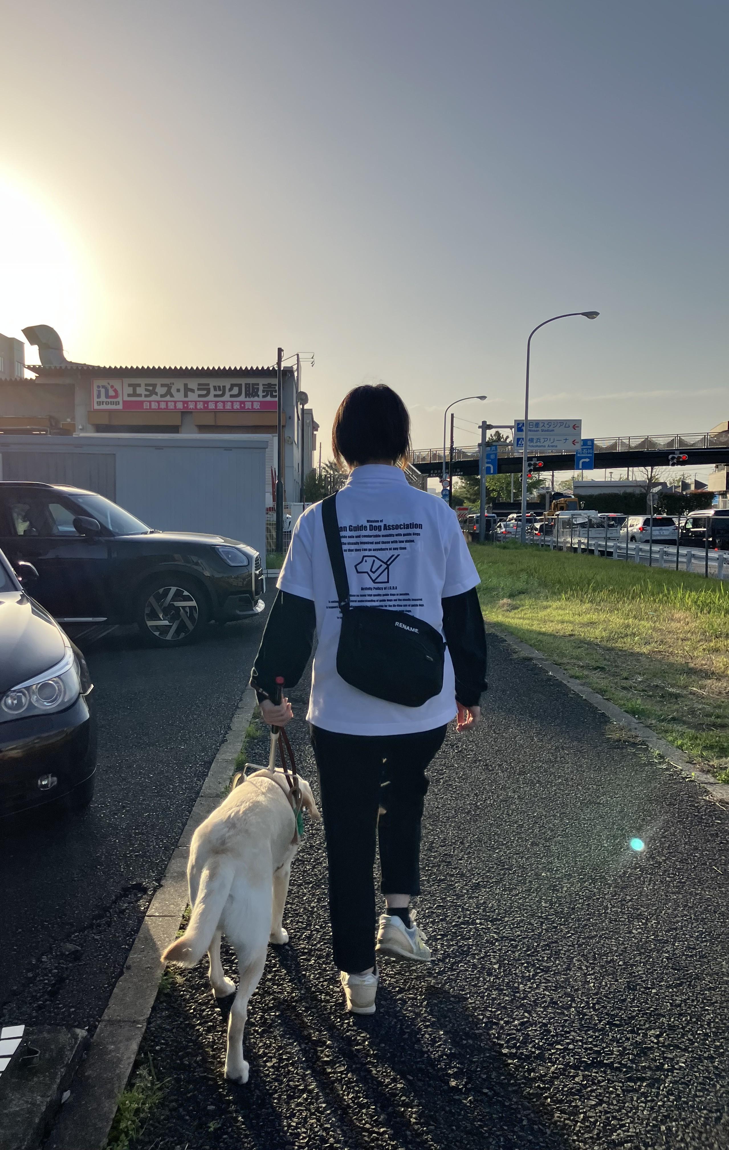 <p>初めての犬との歩行です!すごく苦戦しました!笑</p>