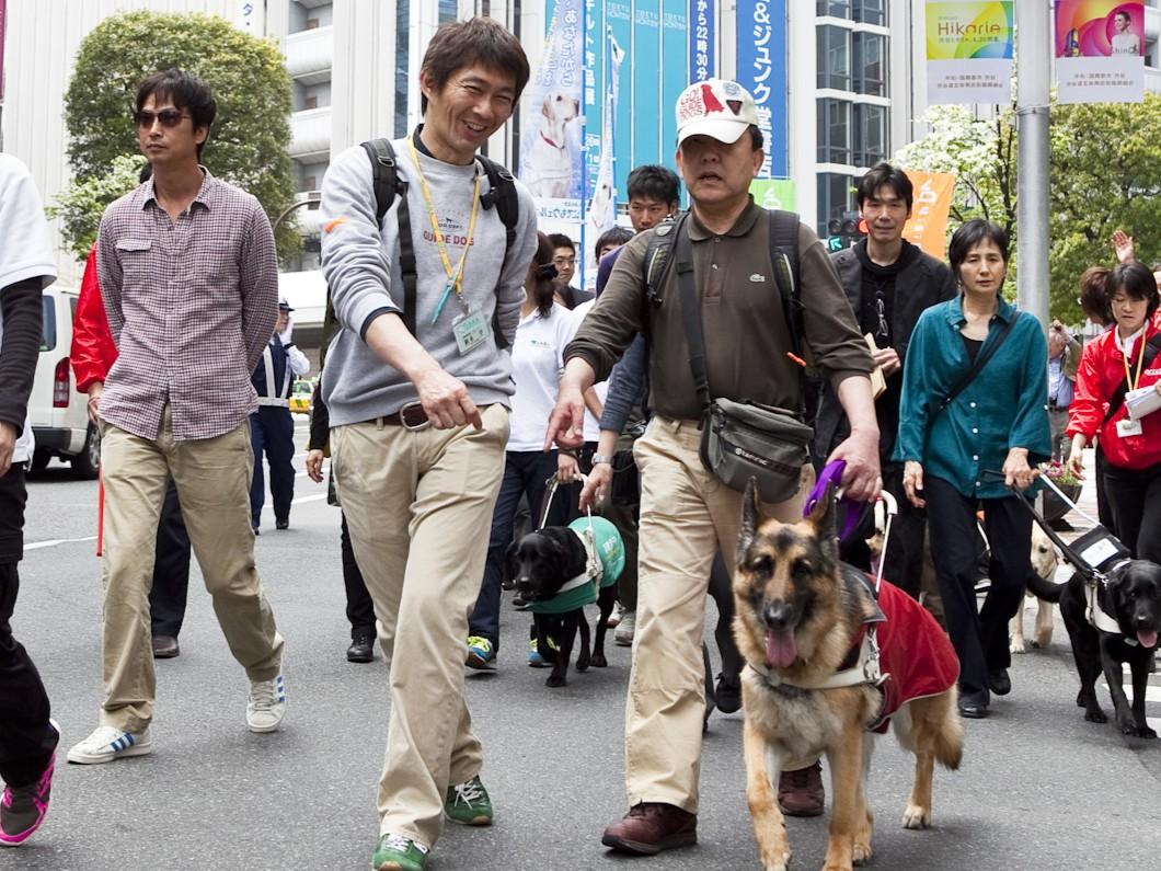 <p>2012年4月25日補助犬法周知を訴え行われた「渋谷ハチ公盲導犬パレード」に飛び入り参加!(左端)</p>