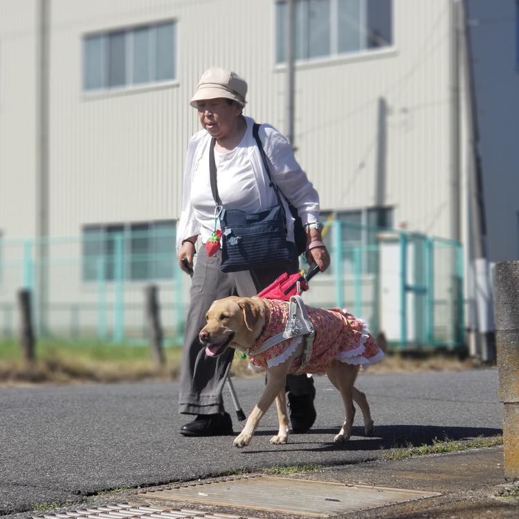 記事の画像