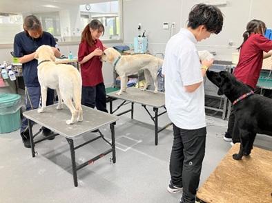 「出来ない」は宝物かも!伸びしろ満載の若手職員たちのイメージ画像