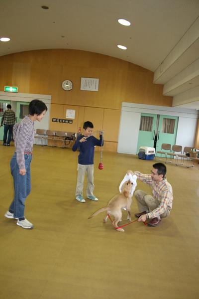 パピーと遊ぶパピーウォーカーの家族