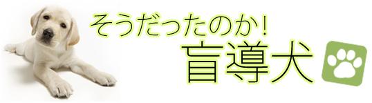 そうだったのか!盲導犬