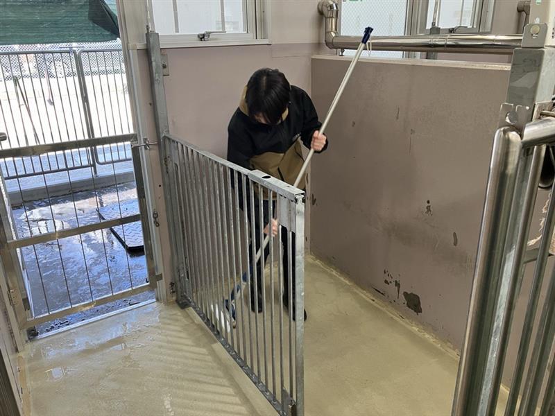 <p>犬室掃除では床だけでなく、壁や柵なども徹底的に綺麗にしています。実際に作業を行ってみて、かなりの力仕事だと実感しました。筋肉痛になる学生もいました!</p>