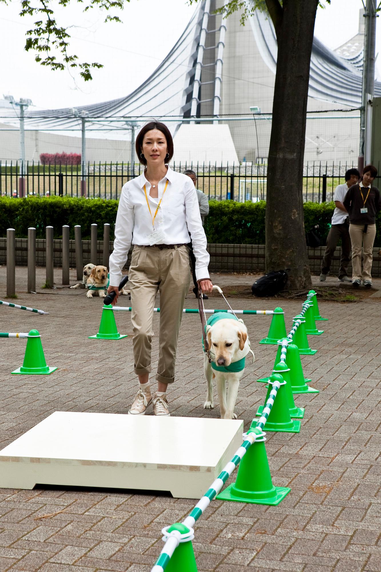 <p>パレード後、行われたデモンストレーションで盲導犬の役割をPR。</p>
